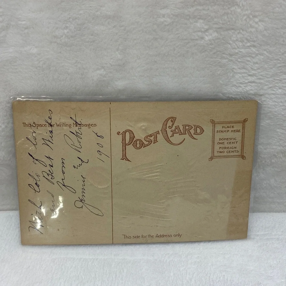 Antique 1908 Christmas Postcard‎ Two Birds In Protective Sleeve No Postmark